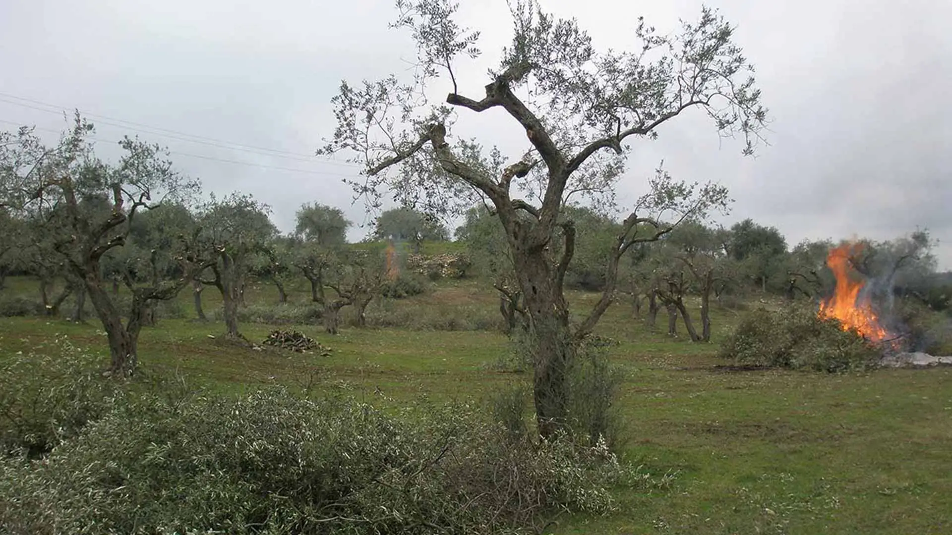 Articoli da leggere